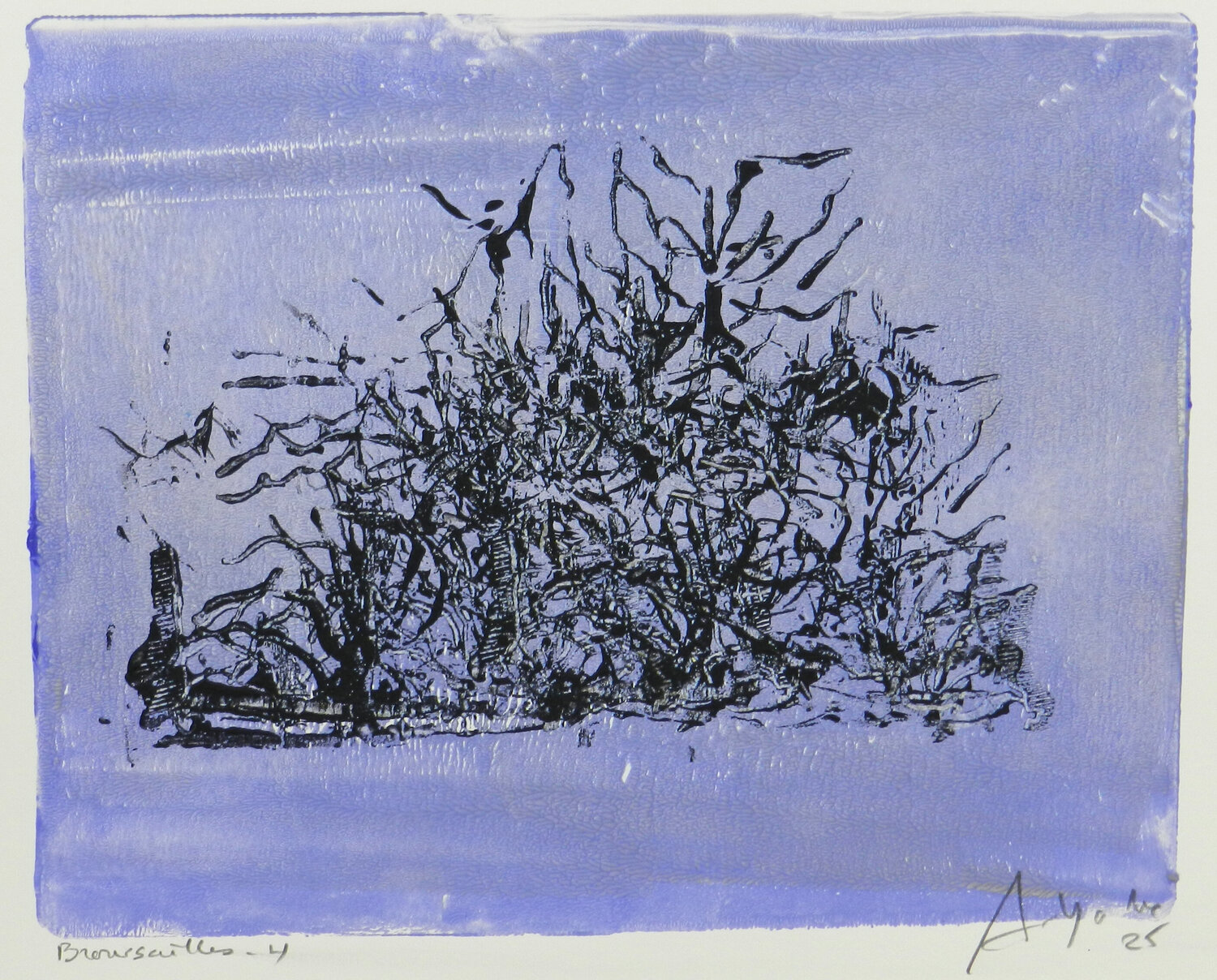 Broussailes #4 Alfredo YACHE