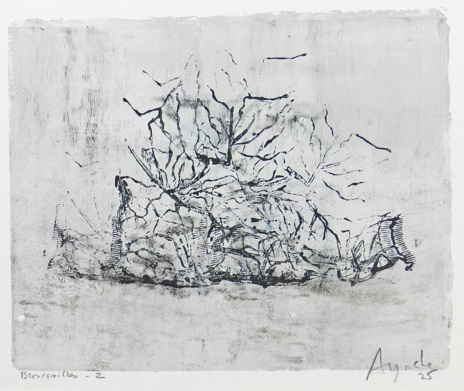 Broussailes #2 Alfredo YACHE
