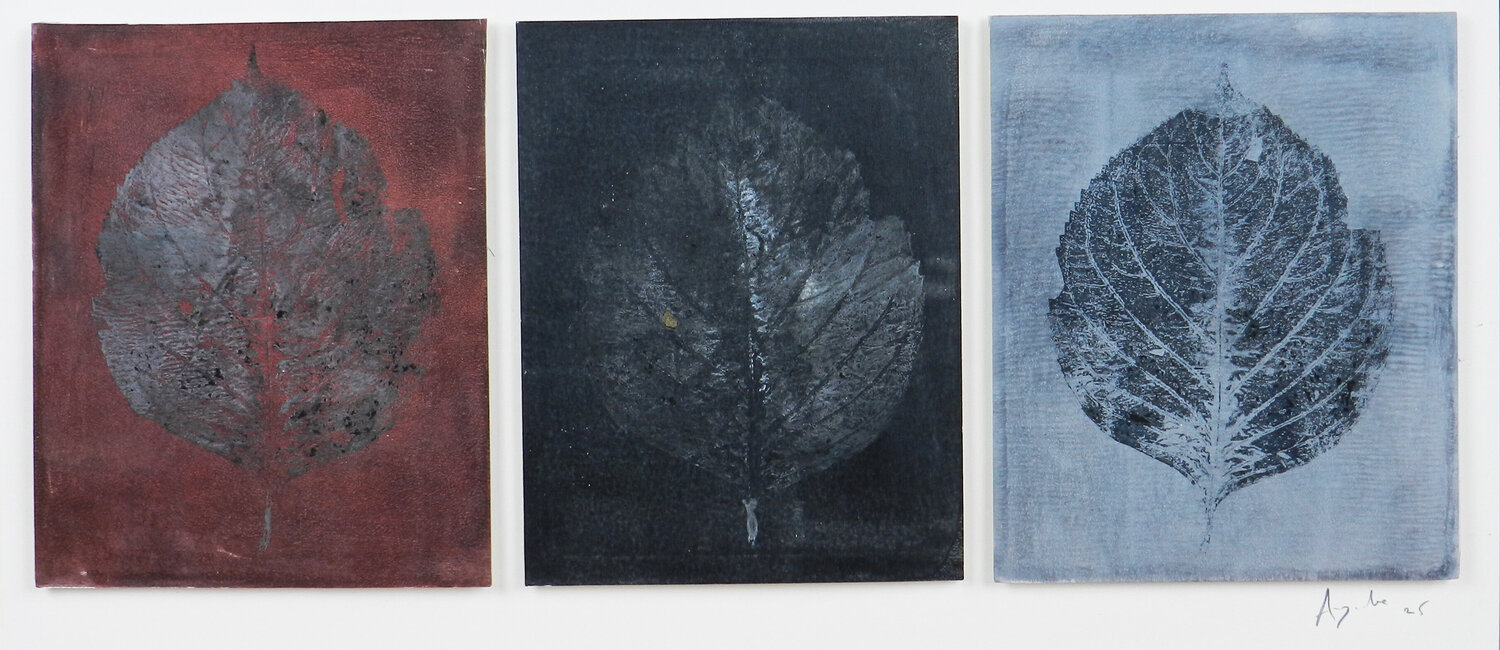 Erbium - Triptyque #2 Alfredo YACHE