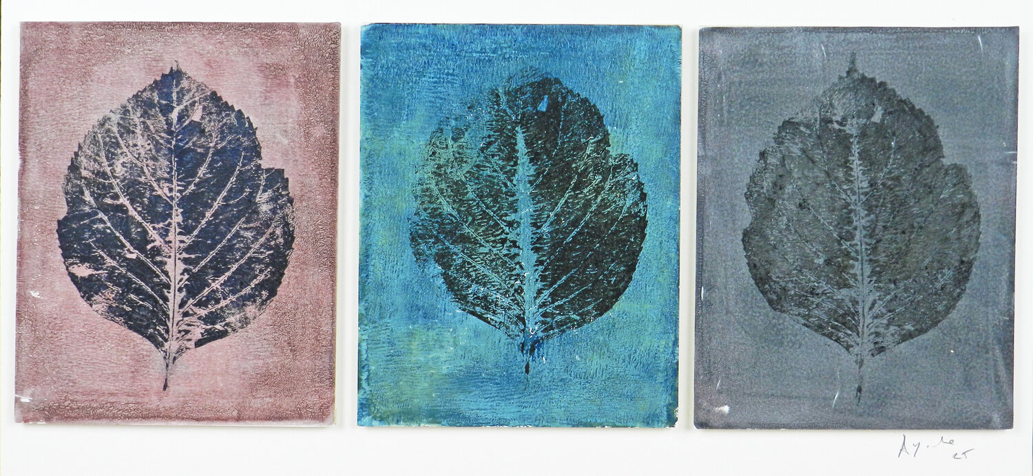 Erbium - Triptyque #1 Alfredo YACHE