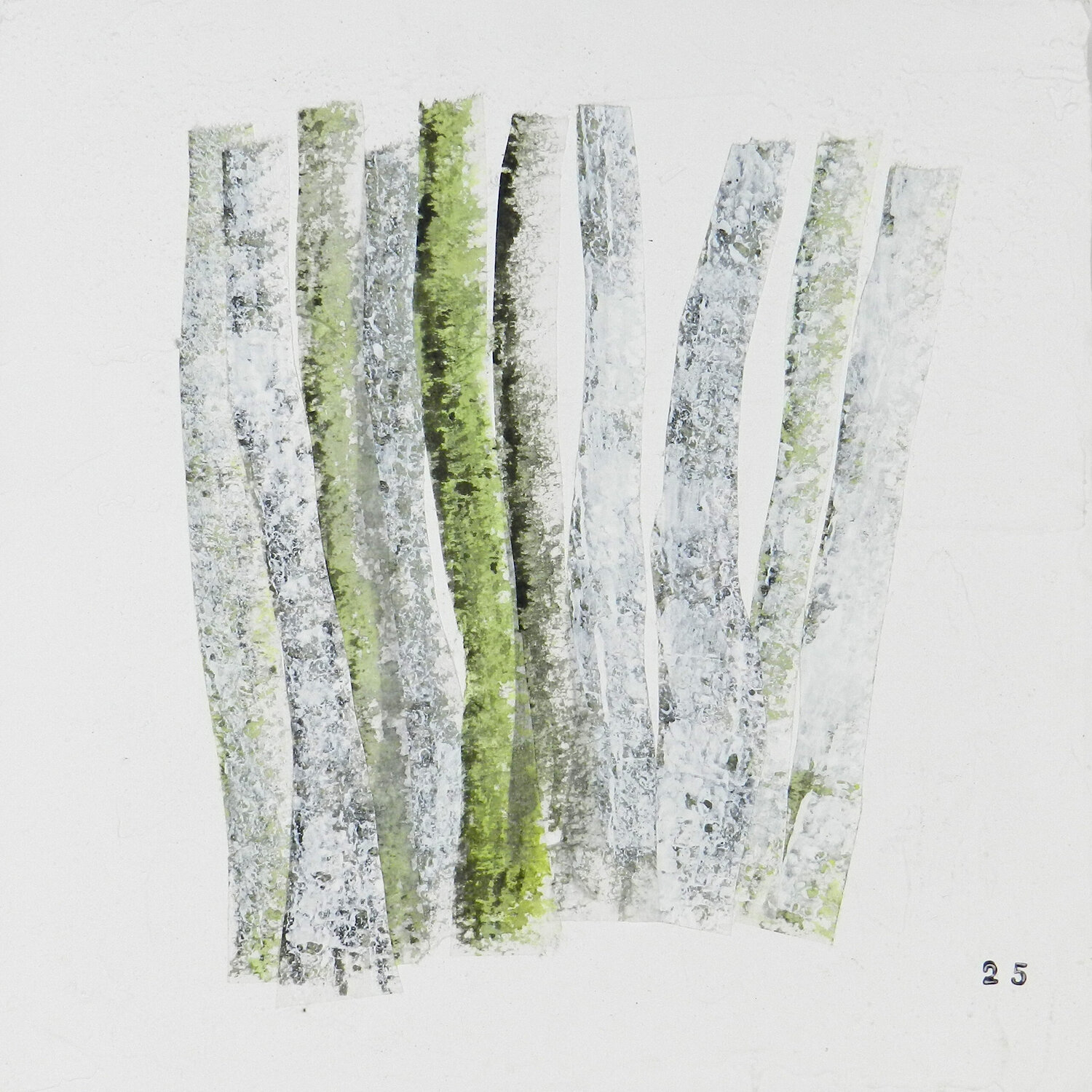 Forest Karyotype #2 Alfredo YACHE