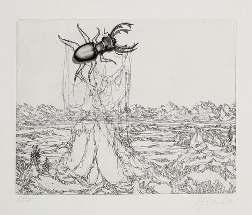 Untitled - (Beetle) von Hans Rauch, Druck kaufen auf Singulart