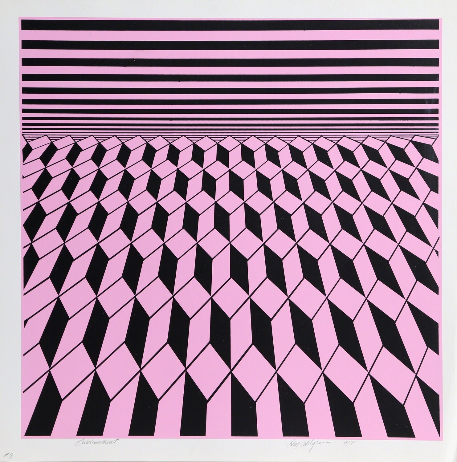 Environment (Pink) Roy Ahlgren