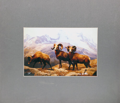 Big Horn Sheep at the American Museum of Natural History by Max Epstein, Print for Sale on Singulart