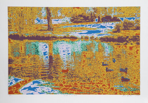 Ducks in a Pond von Max Epstein, Druck kaufen auf Singulart