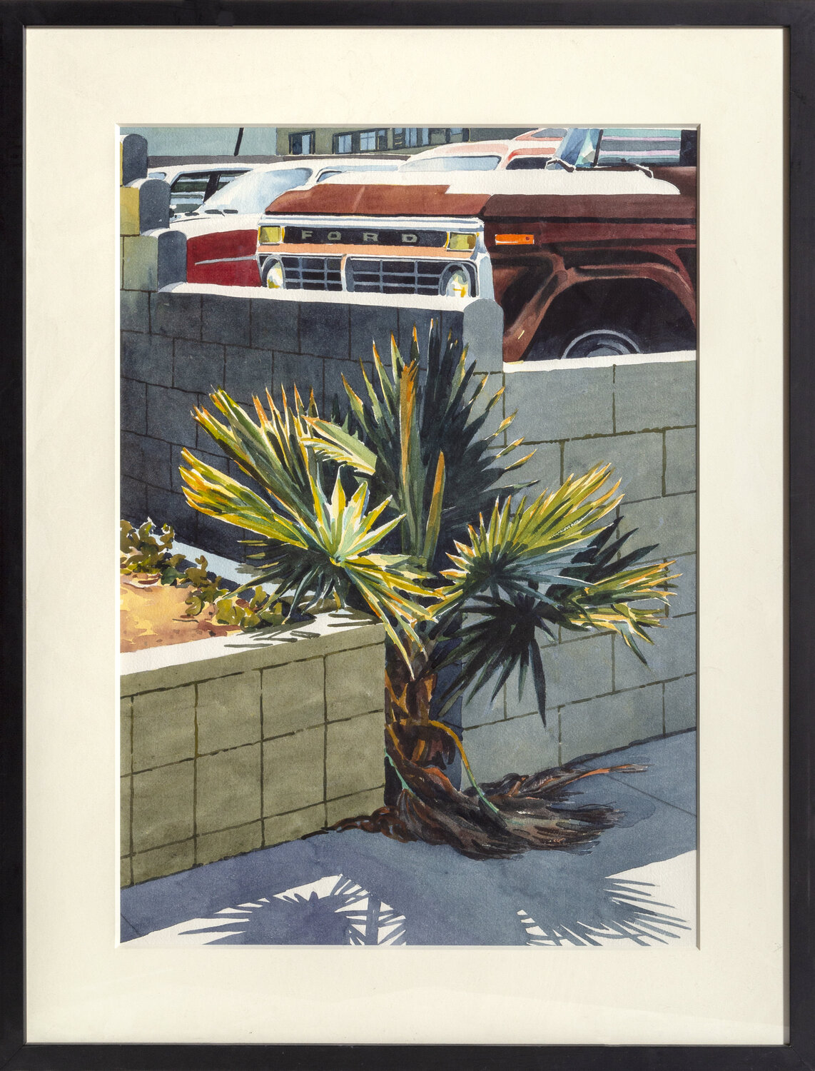 Palm Shrub Don david