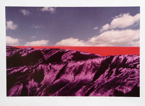 Purple Majesty von Michael DeCamp, Fotografie kaufen auf Singulart