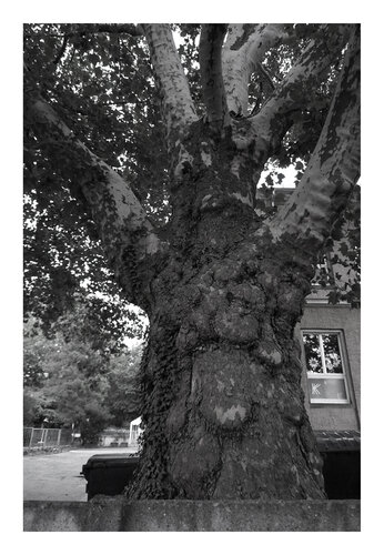 Guter Geist, schwarzweiß, Urheberrecht  Katharina Kretschmer, Bitte geben Sie die Größe an, die Sie für den Druck wünschen, danach richtet sich dann der endgültige Preis van Katharina Kretschmer, Fotografie te koop op Singulart
