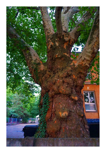 Guter Geist, Farbspielerei II, Urheberrecht  Katharina Kretschmer, Bitte geben Sie die Größe an, die Sie für den Druck wünschen, danach richtet sich dann der endgültige Preis von Katharina Kretschmer, Fotografie kaufen auf Singulart