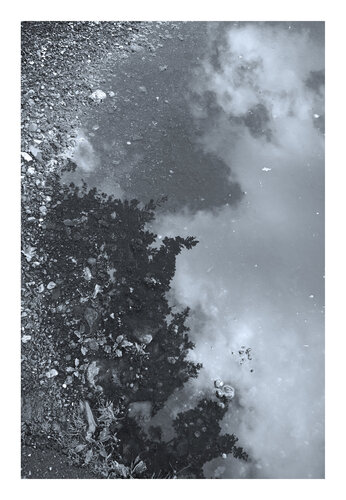 Spiegelung oder der Geist in der Pfütze, 2025, schwarzweiß, Urheberrecht Katharina Kretschmer, Bitte geben Sie die Größe an, die Sie für den Druck wünschen, danach richtet sich dann der endgültige Preis by Katharina Kretschmer, 사진 for Sale on Singulart