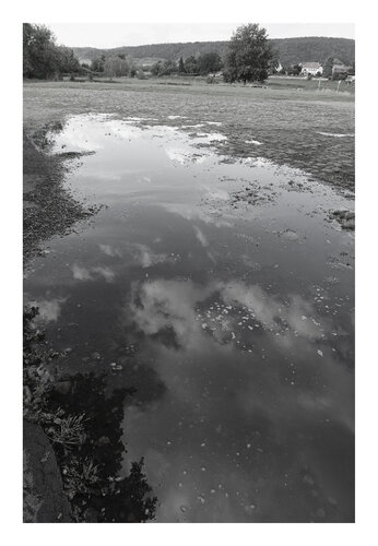 Spiegelung, 2025, schwarzweiß, Urheberrecht Katharina Kretschmer, Bitte geben Sie die Größe an, die Sie für den Druck wünschen, danach richtet sich dann der endgültige Preis von Katharina Kretschmer, Fotografie kaufen auf Singulart