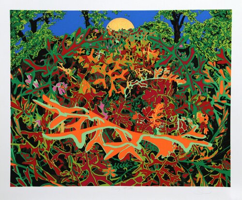 Dusty Miller di Jon D'Orazio, Stampa in vendita su Singulart