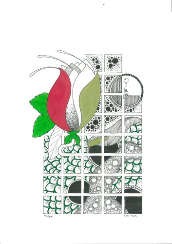 die Tulpe und der Ballon di Urs Grünenfelder, Opera su carta in vendita su Singulart