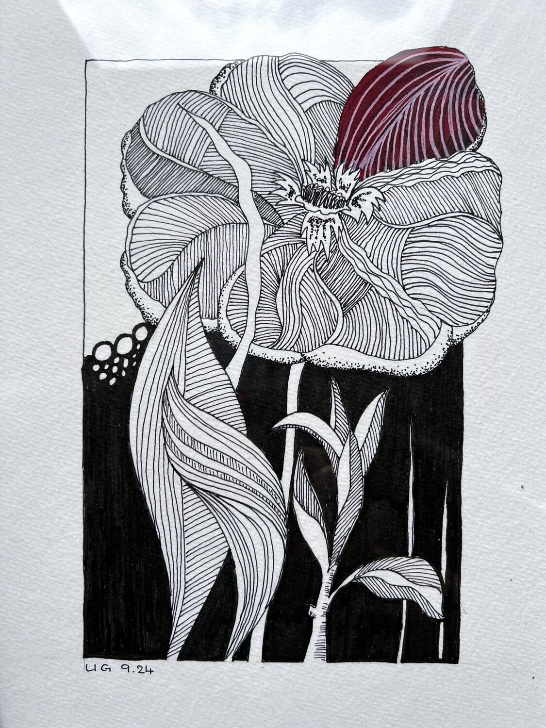 Blume Urs Grünenfelder