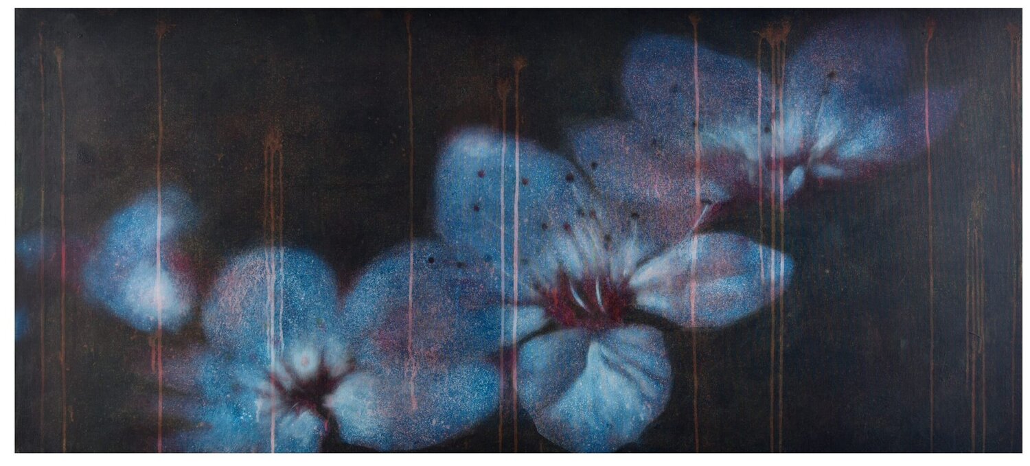 Sakura Massimo Barlettani