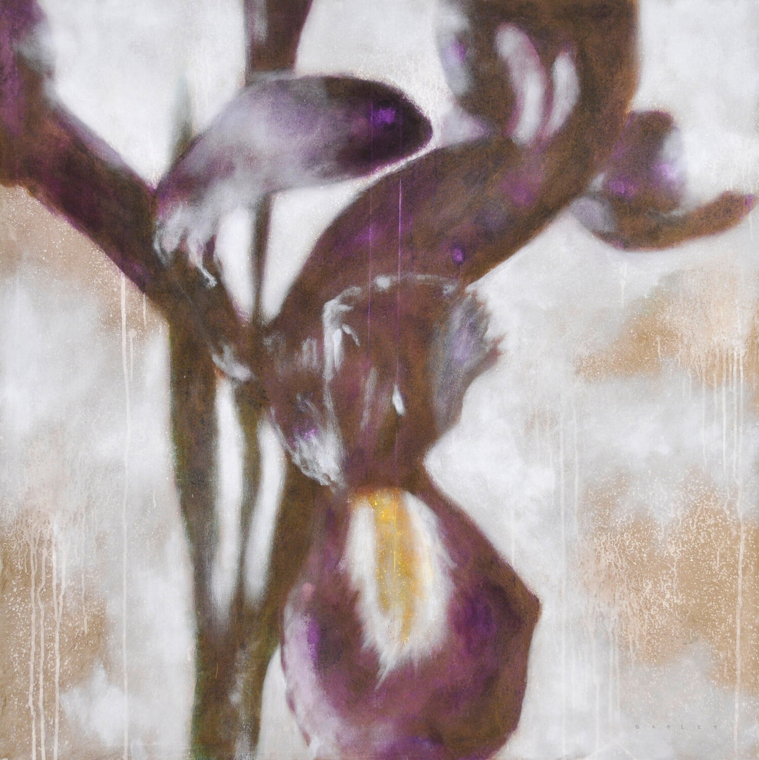 Viale dei colli Massimo Barlettani