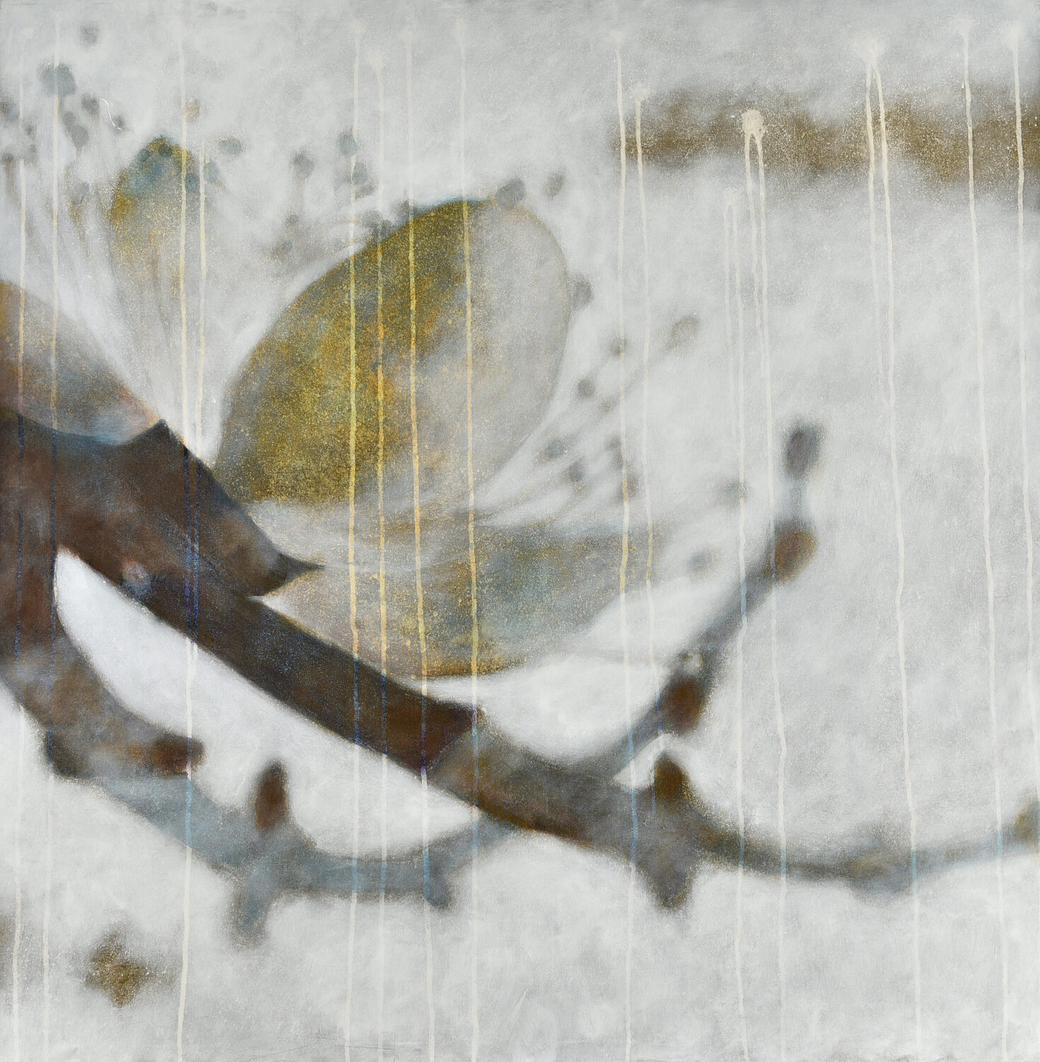 Un fiore ci sorprenderà Massimo Barlettani