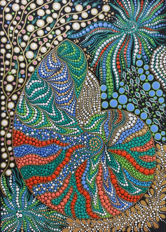 Ammonite Shell Oxana Lazari