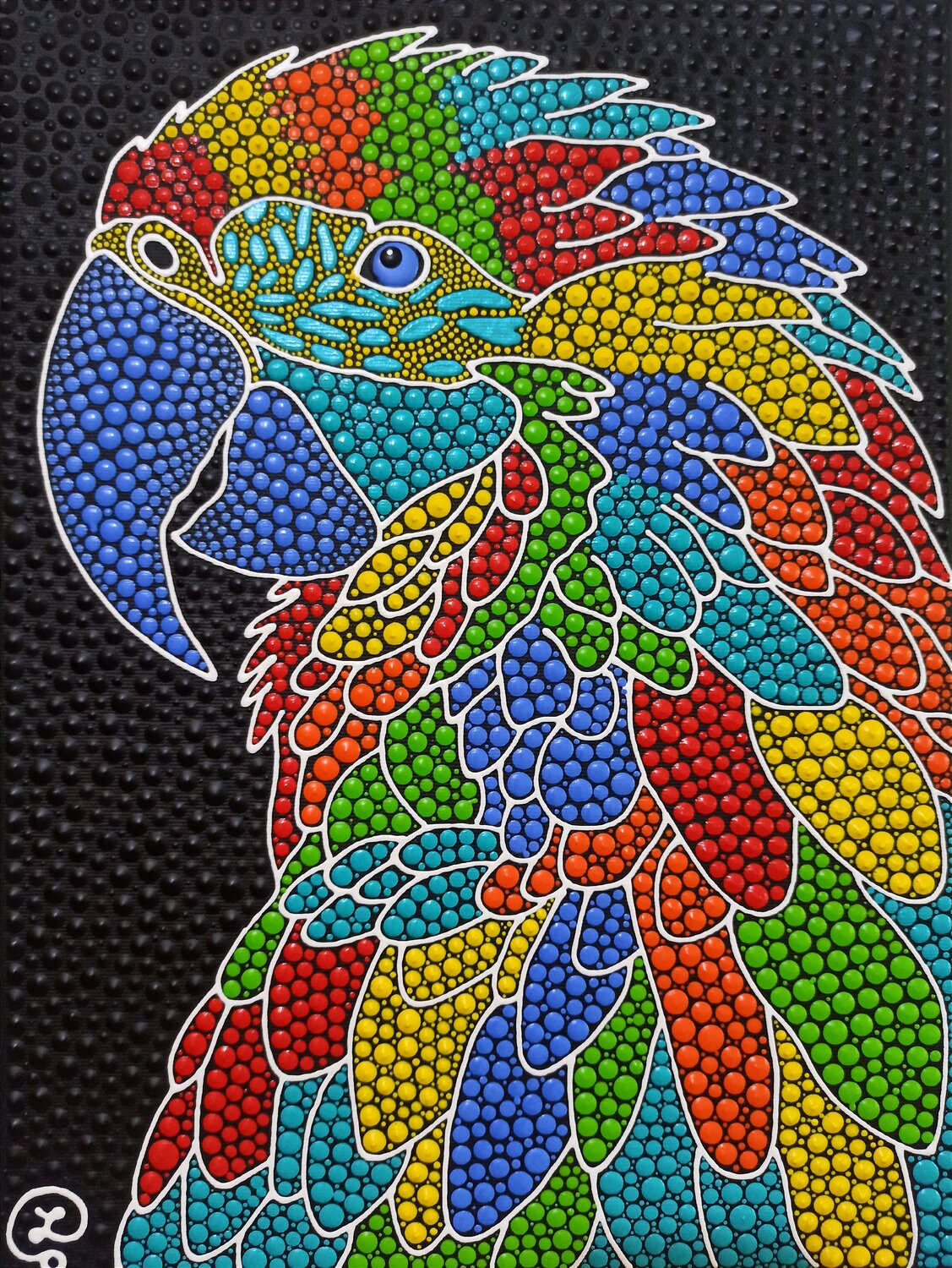 Rainbow Macaw Oxana Lazari
