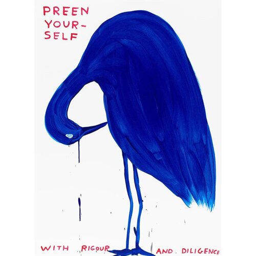 Preen Yourself with Rigour and Diligence van David Shrigley, Afdruk te koop op Singulart