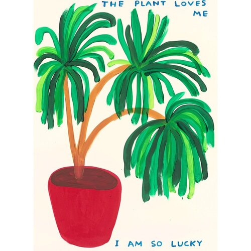 The Plant Loves Me van David Shrigley, Afdruk te koop op Singulart