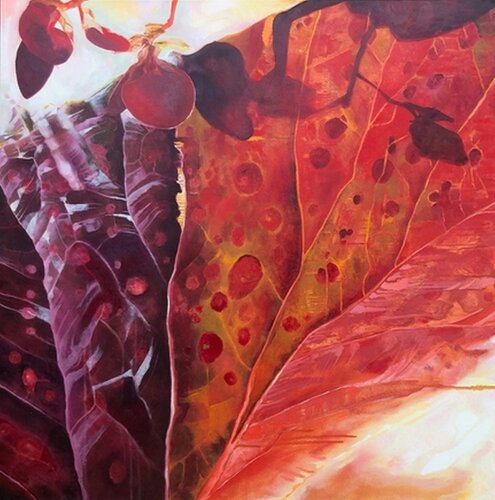 Begonia di Annieo Klaas, Pittura in vendita su Singulart