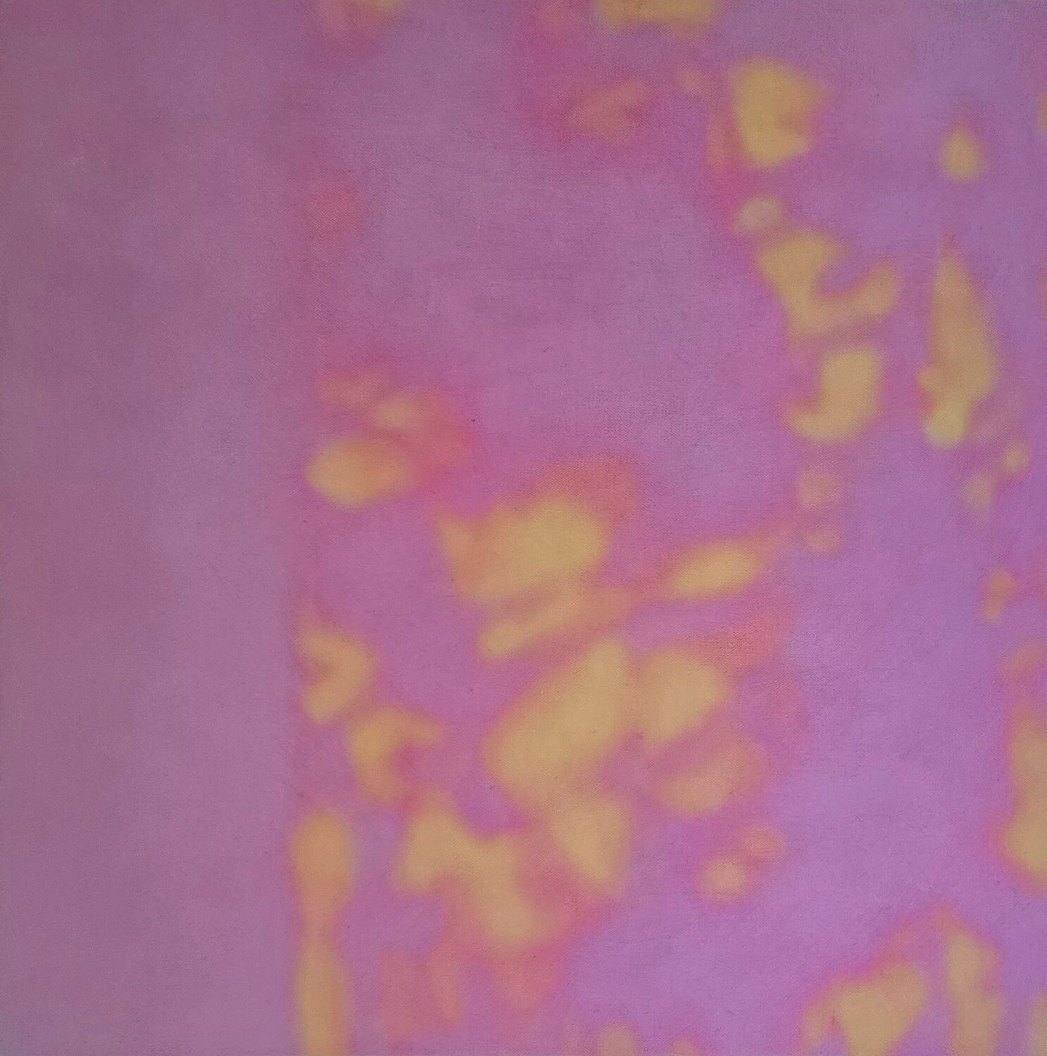 Untitled III (from 7:45 am Series) Annieo Klaas