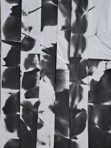 Schwarz weiss 1 von Nina Florence Juncker, Werk auf Papier kaufen auf Singulart