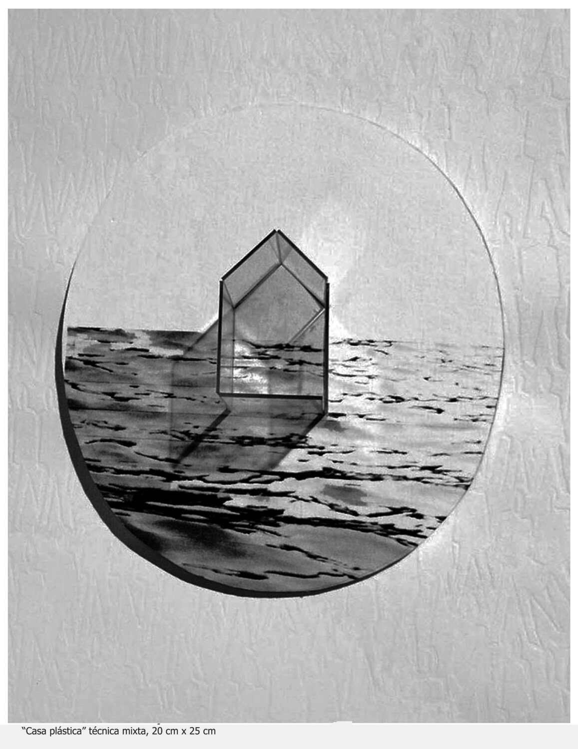 Casita traslucida Ana Castro Feijoo