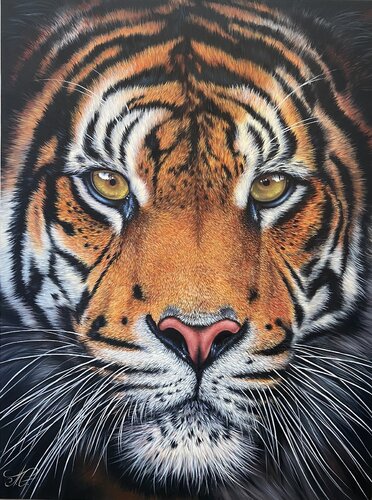 Tiger van Artak Galstyan, Schilderij te koop op Singulart