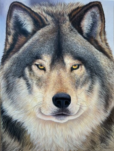 wolf by Artak Galstyan, Painting for Sale on Singulart