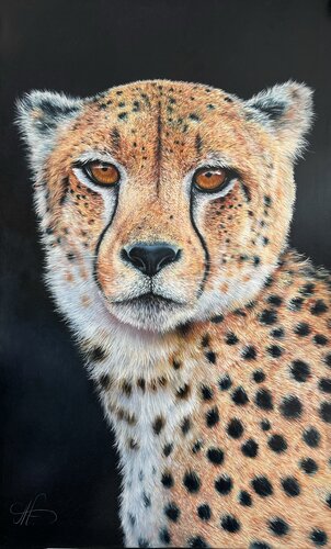 Cheetah van Artak Galstyan, Schilderij te koop op Singulart