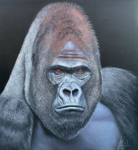 Gorilla van Artak Galstyan, Schilderij te koop op Singulart