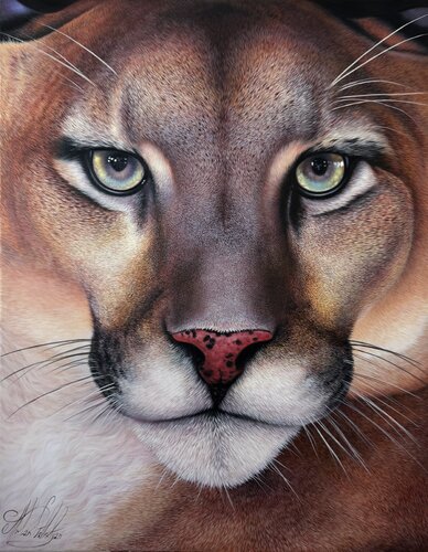 Panther van Artak Galstyan, Schilderij te koop op Singulart