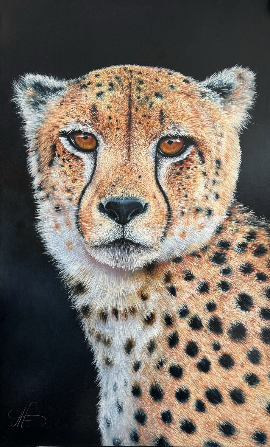 Cheetah Artak Galstyan