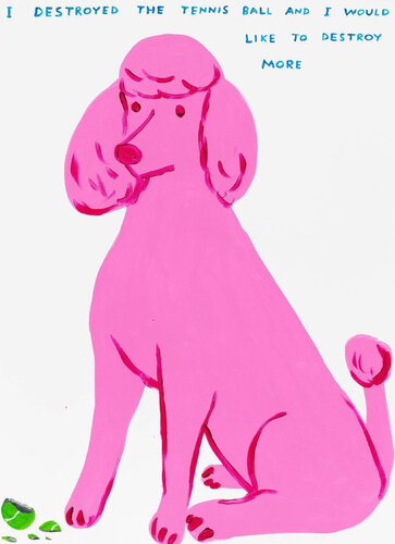 I Destroyed The Tennis Ball von David Shrigley, Druck kaufen auf Singulart