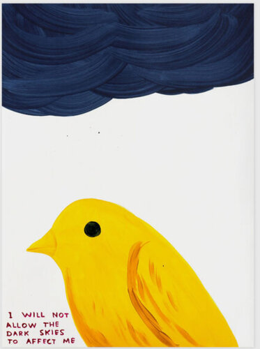 I Will Not Allow The Dark Skies To Affect Me par David Shrigley, Édition en vente sur Singulart