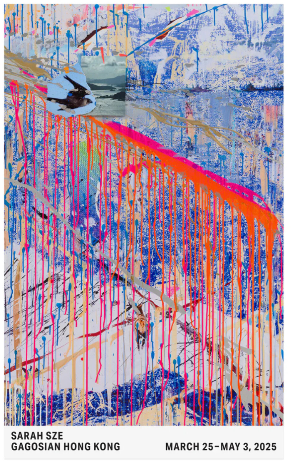 Rip Tide ( Poster) Sarah Sze