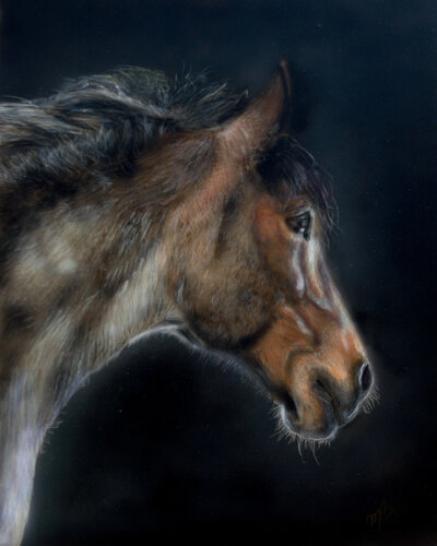Horse de Maria Arias, Pintura a la venta en Singulart