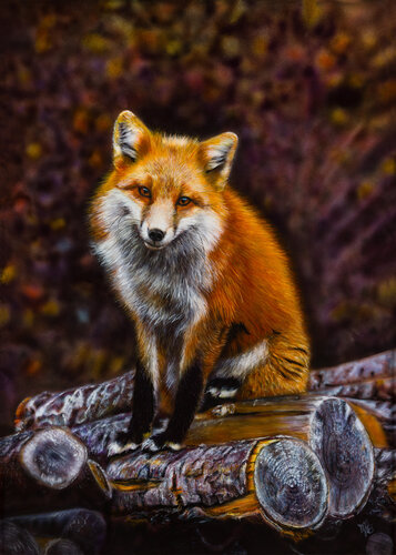Fox von Maria Arias, Malerei kaufen auf Singulart