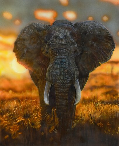 Awakening by Maria Arias, Painting for Sale on Singulart