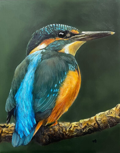 Kingfisher van Maria Arias, Schilderij te koop op Singulart