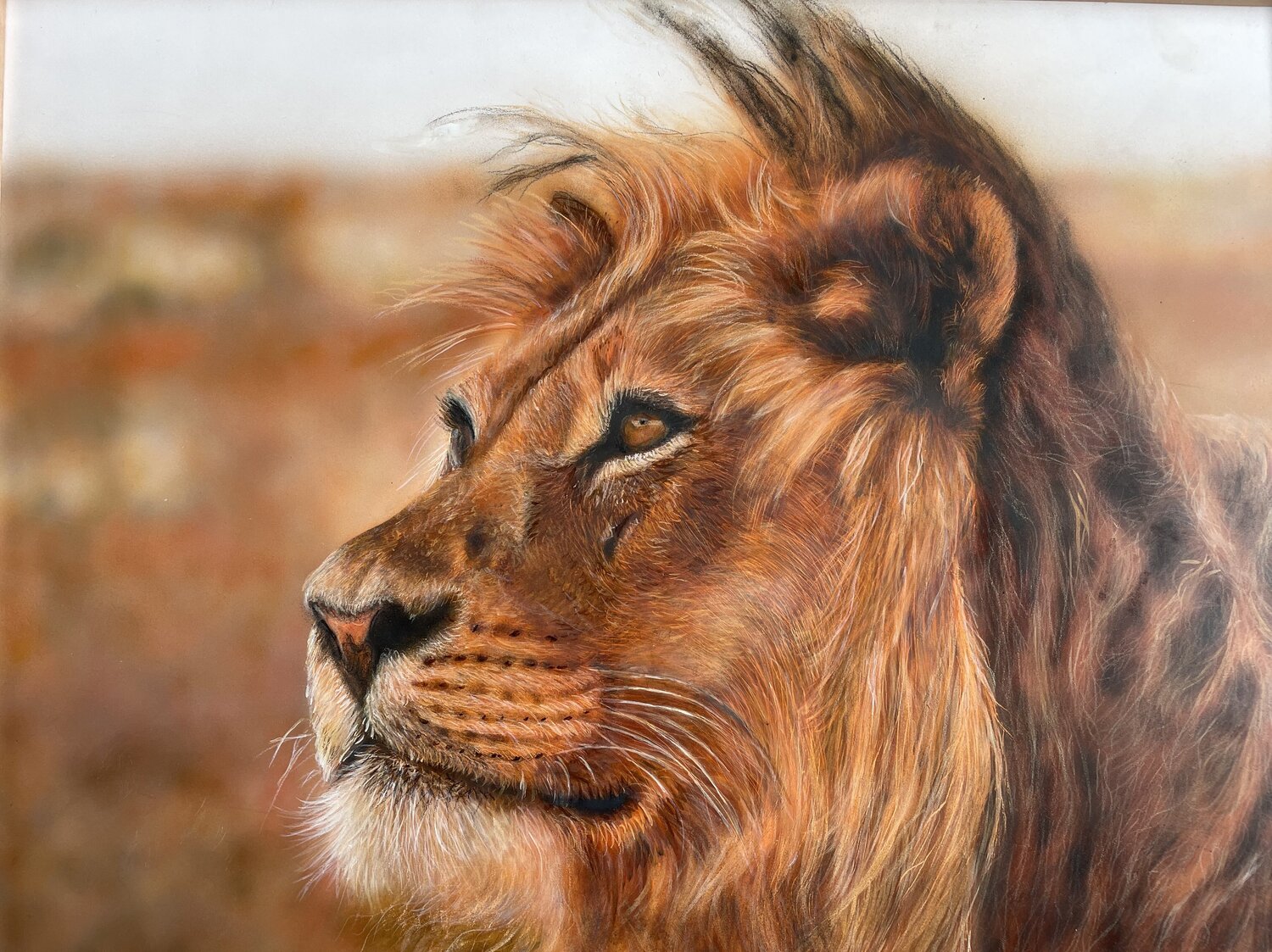 lION Maria Arias
