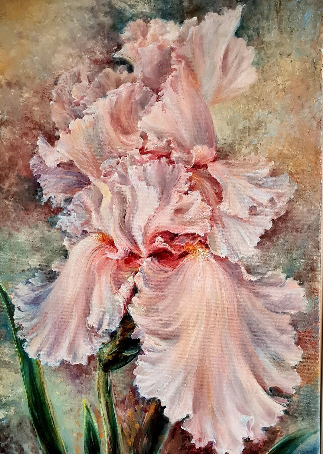 Rosa Iris Anna Lang