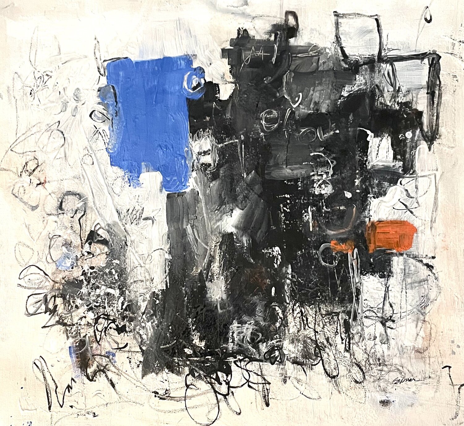 " It's Never Just Black and White" Stephanie Visser