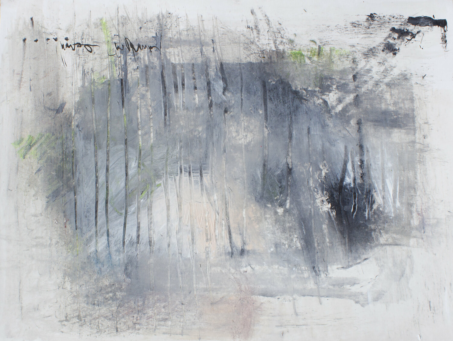 "Echoes" : : theo and cora no. 2 Stephanie Visser