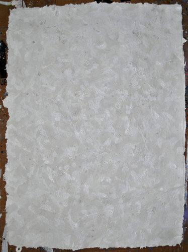 Irregular Ligneous Composition van Peter Sahlman, Werk op papier te koop op Singulart