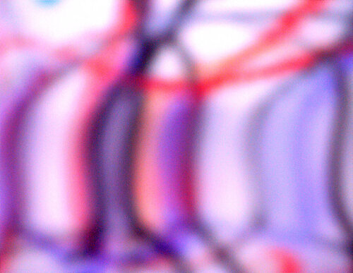 Disoriented Prolixity Dilatation of Wormhole Man II by Peter Sahlman, Photography for Sale on Singulart