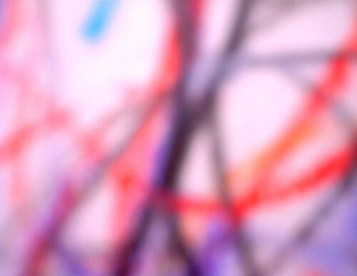 Disoriented Prolixity Dilatation of Wormhole Man I by Peter Sahlman, Photography for Sale on Singulart