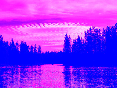 String Lake, WY von Peter Sahlman, Fotografie kaufen auf Singulart